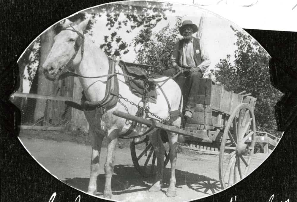 charley clay conduciendo un carro de caballos