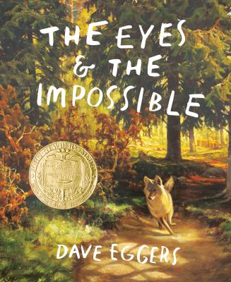 Book jacket graphic for: The Eyes and the Impossible 