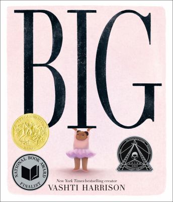 Book jacket graphic for: Big