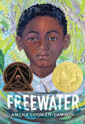 Book jacket graphic for: Freewater