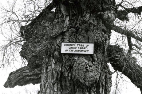 historic image of the original Arapaho council tree